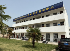 将来的种子已正在脚手架间萌生……新渡